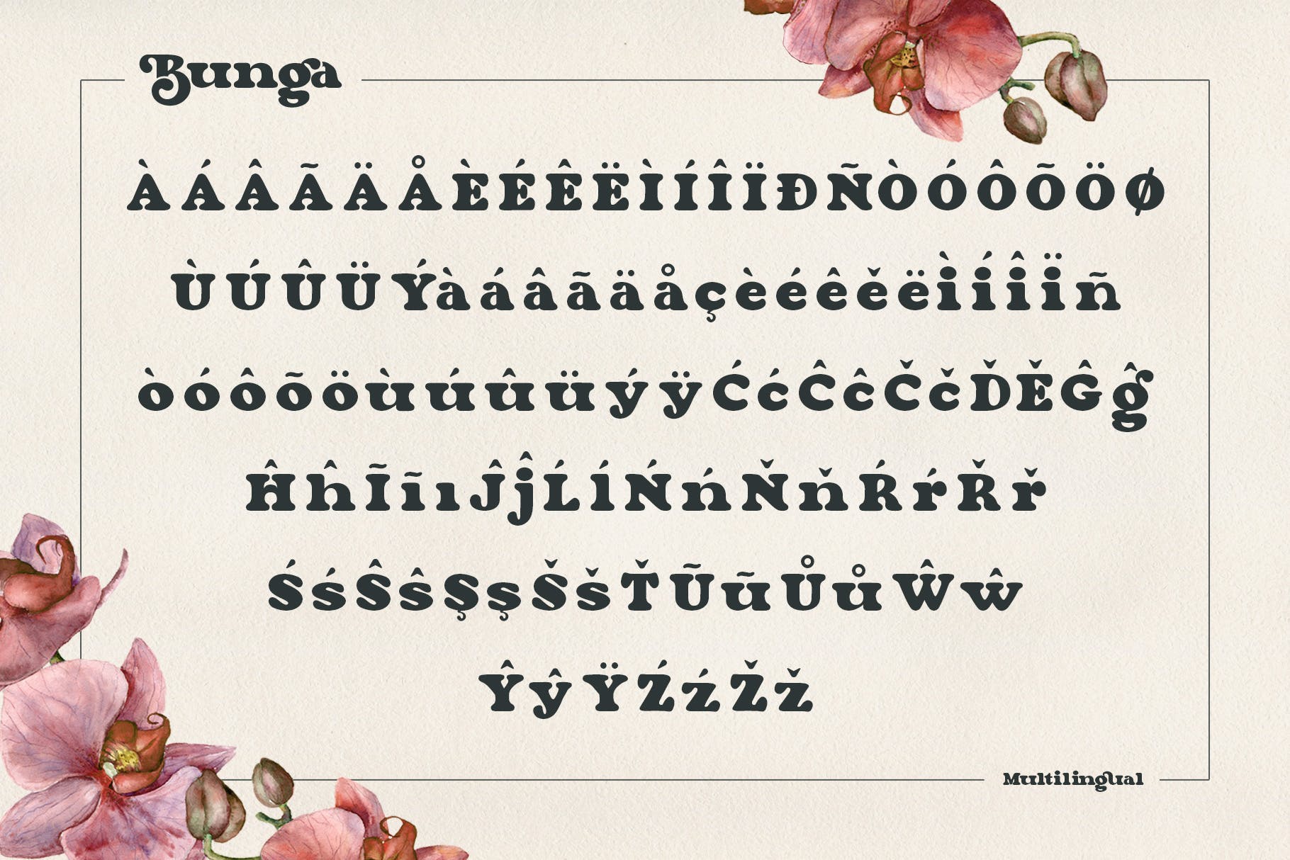 复古杂志标志标识设计衬线英文字体 Bunga_img_2
