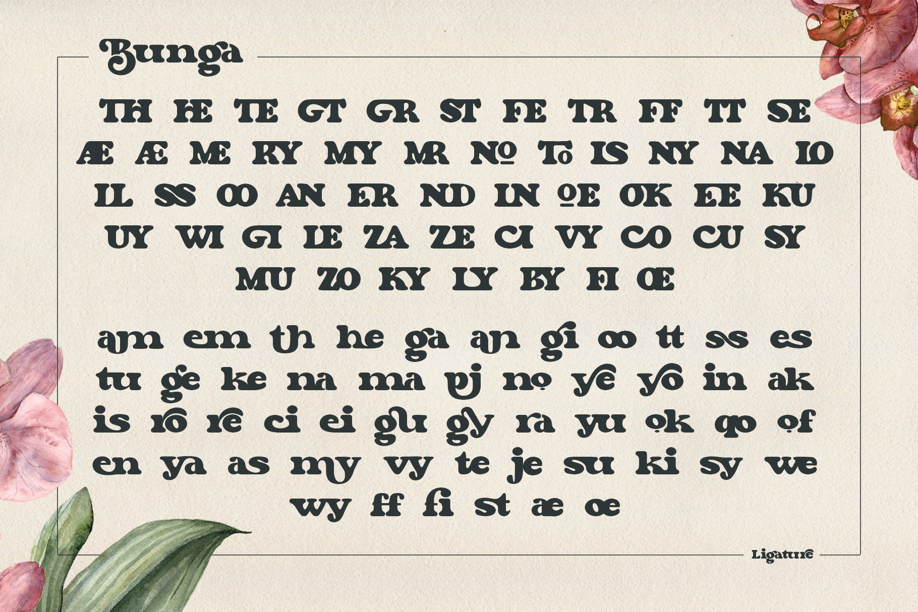 复古杂志标志标识设计衬线英文字体 Bunga_img_2