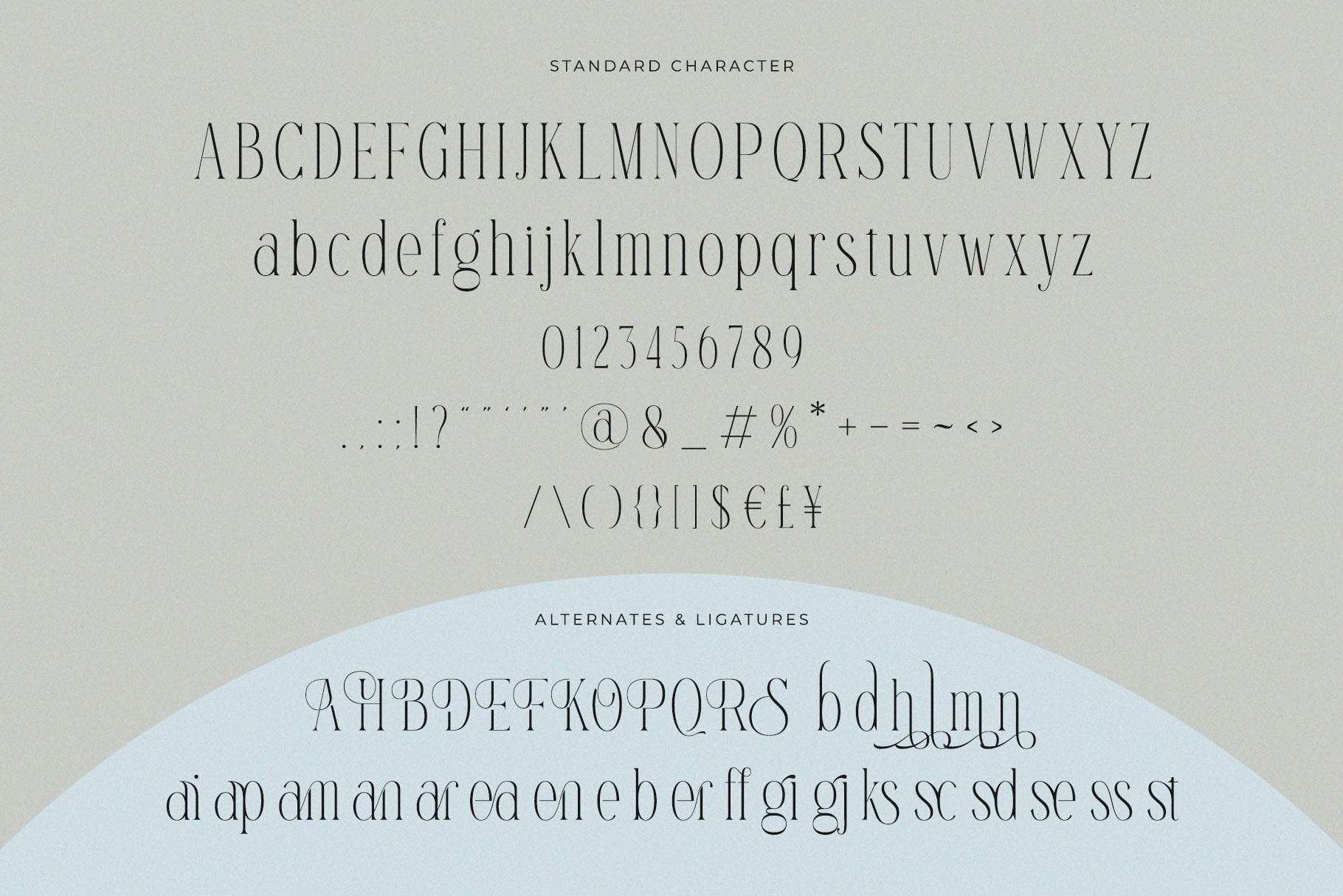 时尚优雅品牌邀请函徽标logo设计衬线英文字体 Ramashinta - Stylish Modern Serif_img_2