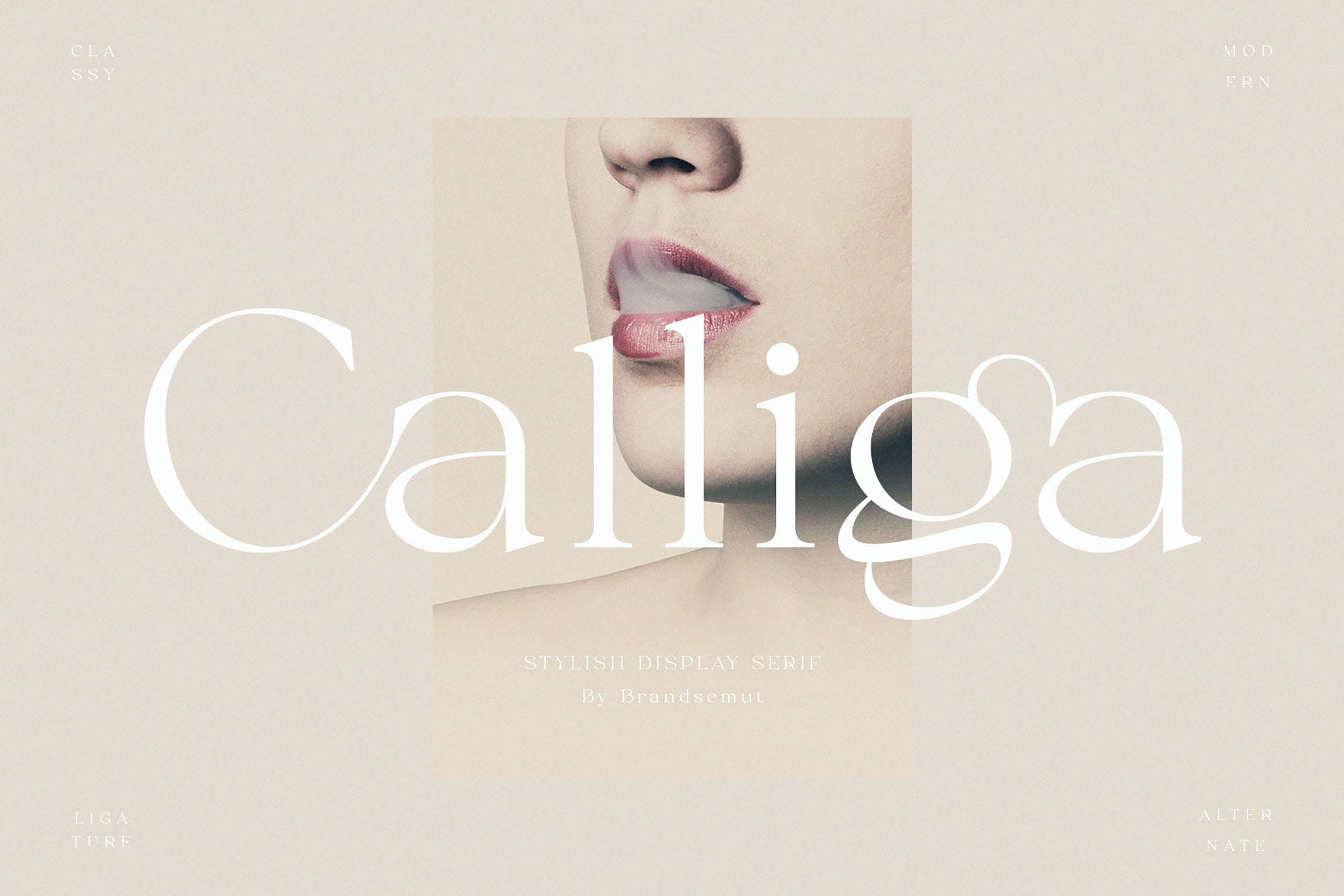 时尚优雅杂志标识徽标logo设计衬线英文字体 Calliga - Stylish Display Serif_img_2