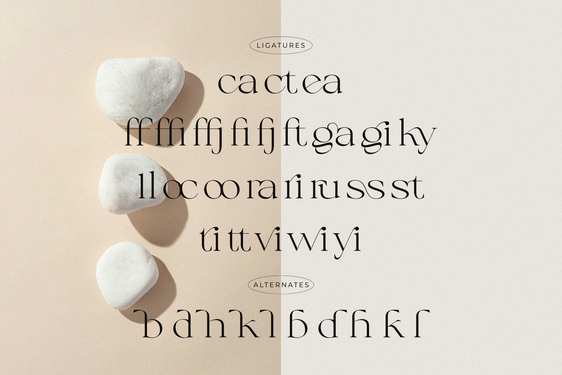 时尚优雅杂志标识徽标logo设计衬线英文字体 Calliga - Stylish Display Serif_img_2