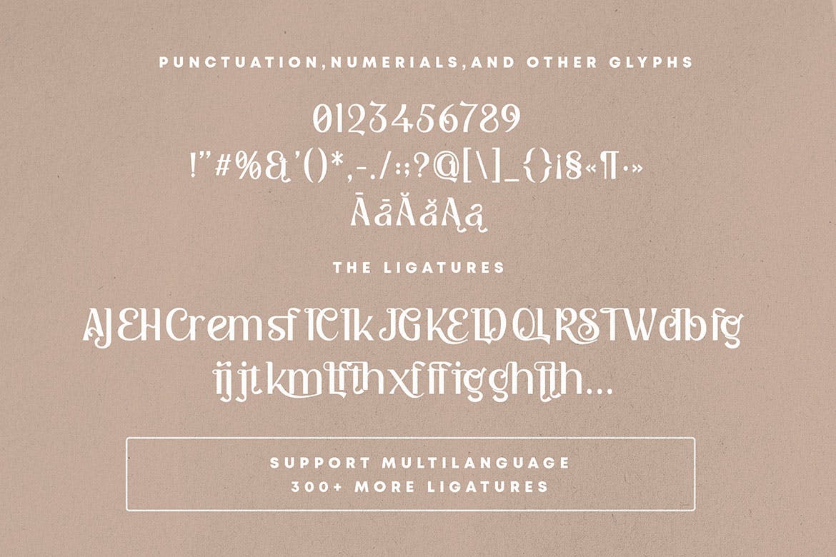 现代品牌名片徽标logo设计衬线英文字体 Kattsia Stylish Serif Font_img_2