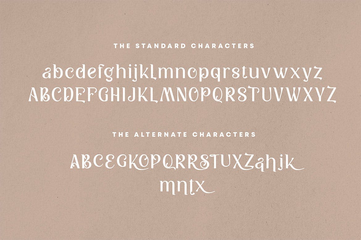 现代品牌名片徽标logo设计衬线英文字体 Kattsia Stylish Serif Font_img_2