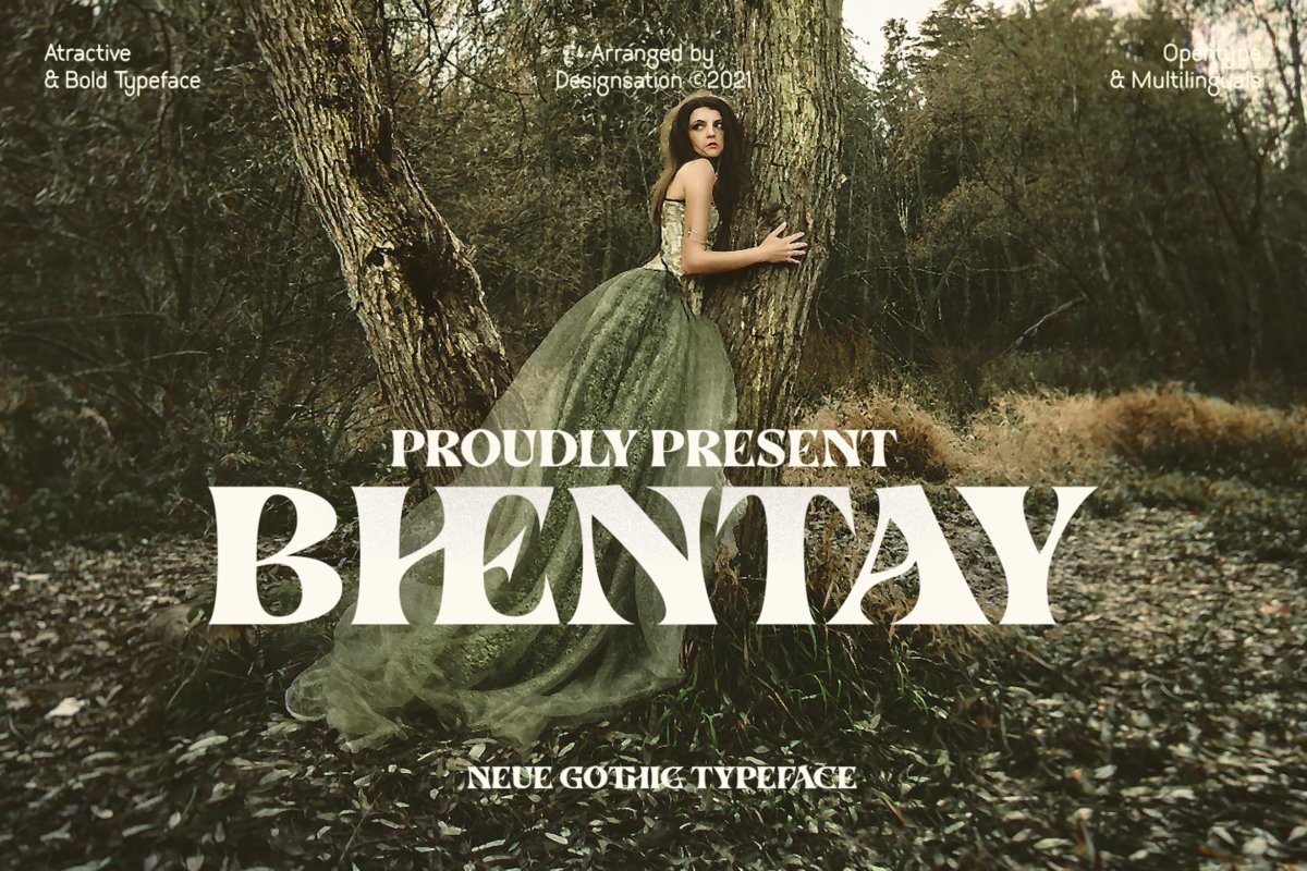 时尚杂志品牌徽标logo设计衬线英文字体 Bhentay Typeface_img_2
