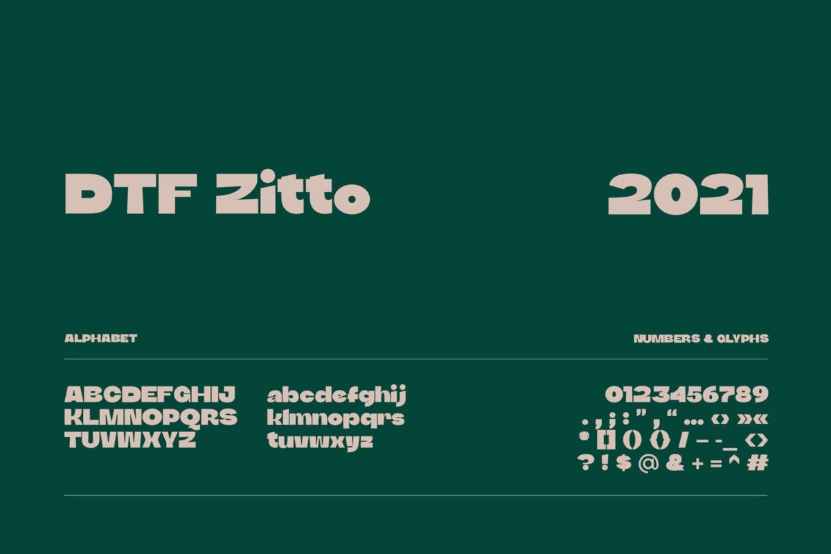优雅奢华杂志海报徽标logo设计无衬线英文字体 DTF Zitto_img_2