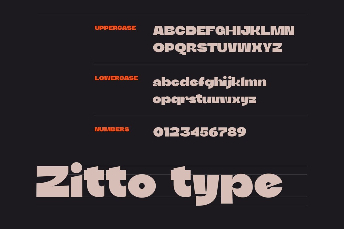 优雅奢华杂志海报徽标logo设计无衬线英文字体 DTF Zitto_img_2