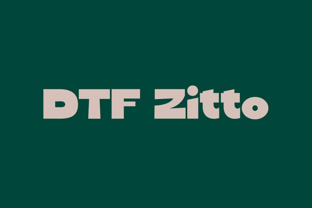 优雅奢华杂志海报徽标logo设计无衬线英文字体 DTF Zitto_img_2