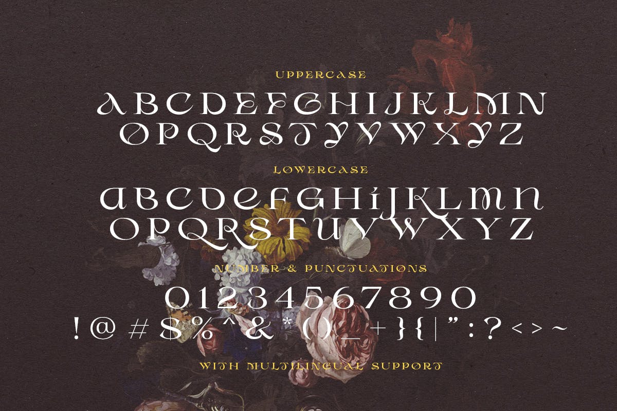 现代优雅杂志海报徽标logo设计衬线英文字体 Desira - Attractive Serif_img_2
