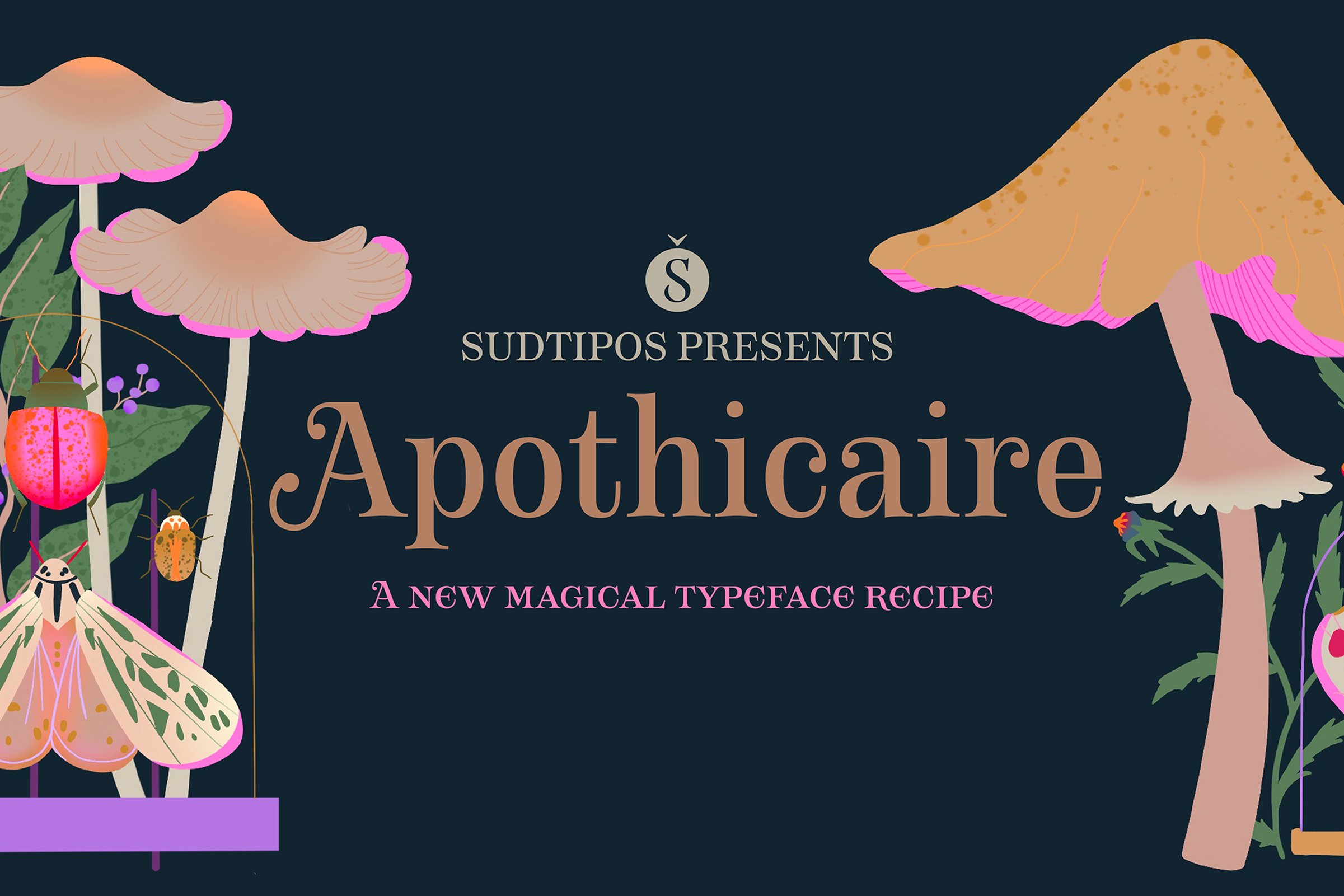优雅复古标题品牌徽标Logo设计衬线英文字体素材包 Apothicaire Font Family_img_2