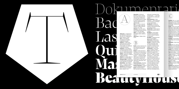 复古罗马风格杂志画册设计衬线英文字体家族 NewsSerif Font Family_img_2