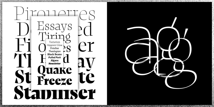 复古罗马风格杂志画册设计衬线英文字体家族 NewsSerif Font Family_img_2