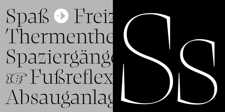 复古罗马风格杂志画册设计衬线英文字体家族 NewsSerif Font Family_img_2