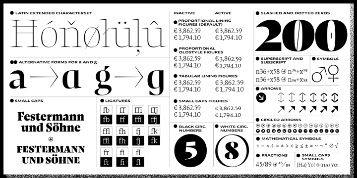 复古罗马风格杂志画册设计衬线英文字体家族 NewsSerif Font Family_img_2