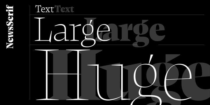 复古罗马风格杂志画册设计衬线英文字体家族 NewsSerif Font Family_img_2