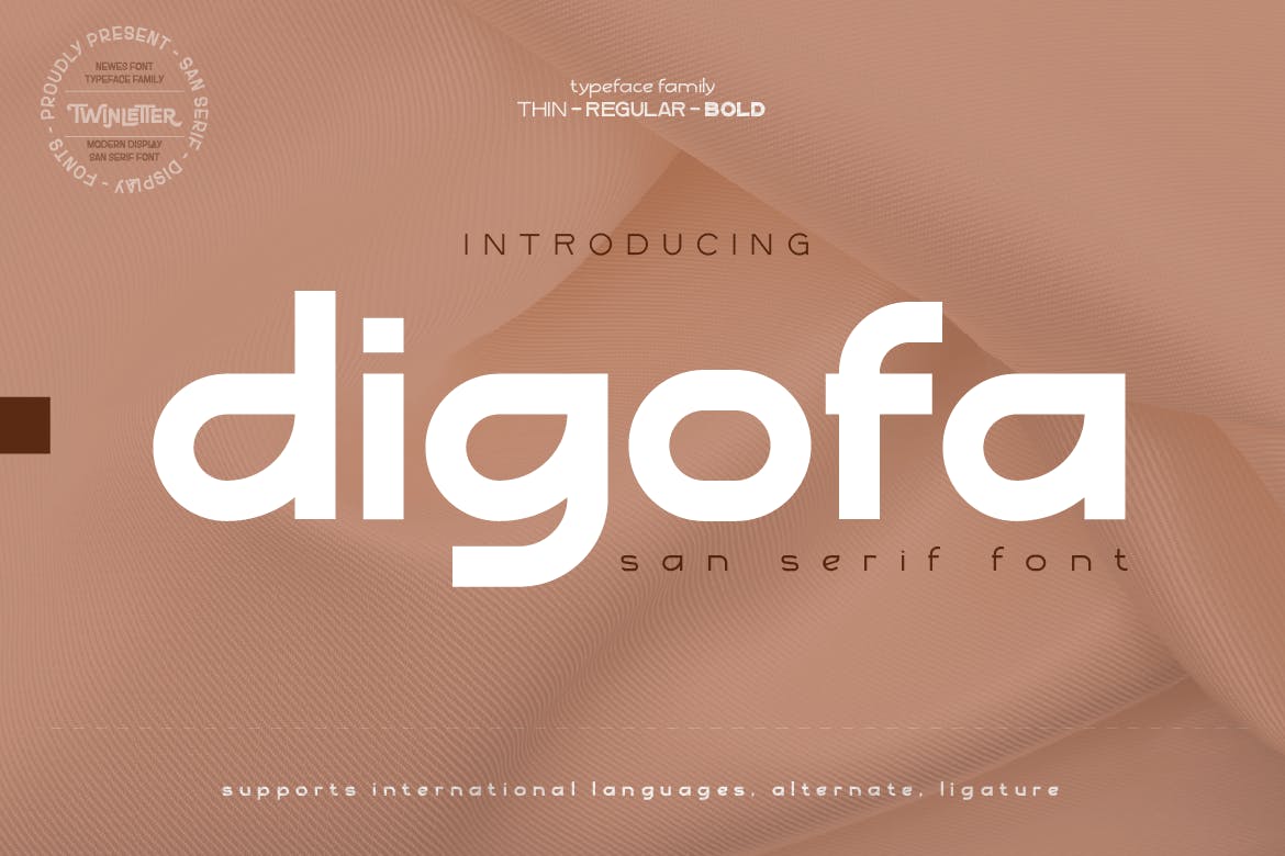 复古品牌海报标识设计无衬线英文字体 Digofa_img_2