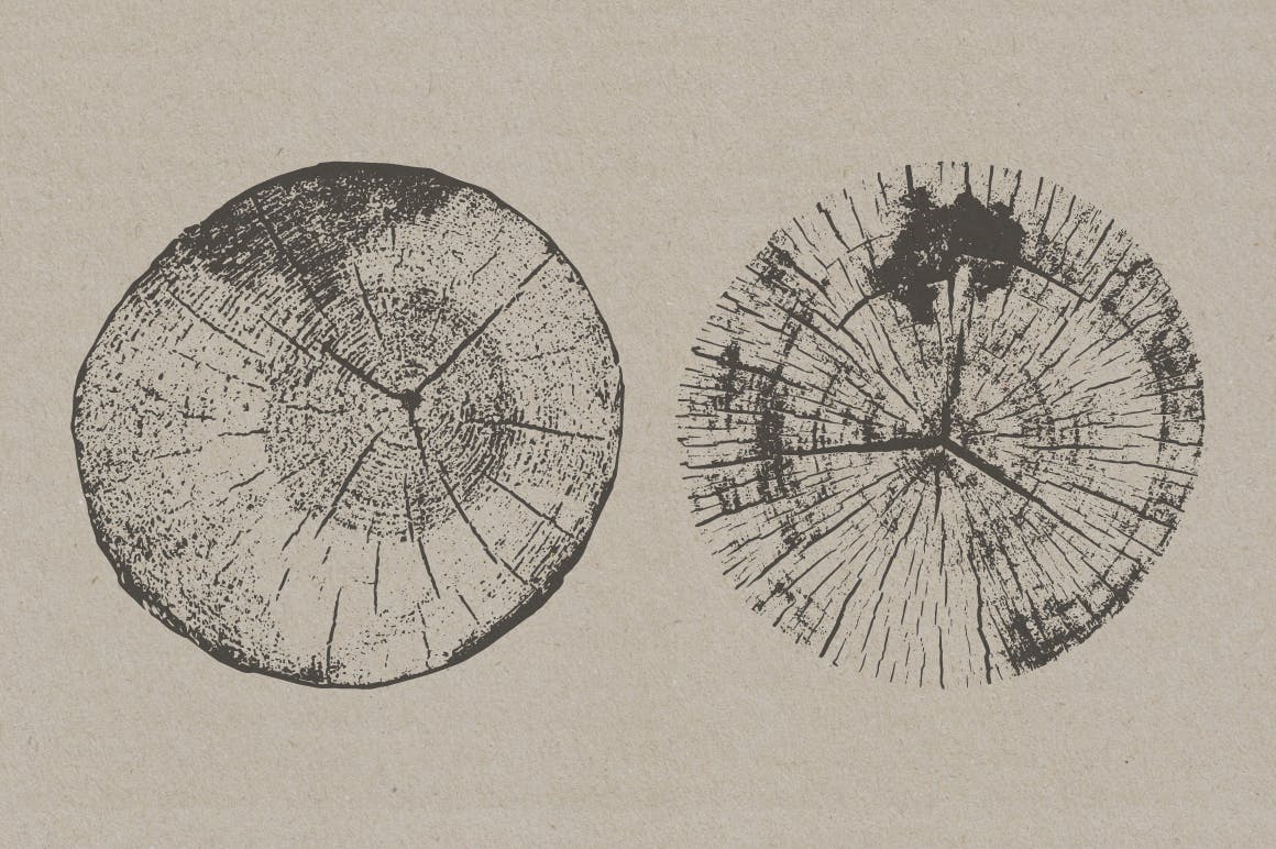 20个黑色树桩纹理装饰图片矢量设计素材 Tree Stump Textures - Vector & PNG_img_2