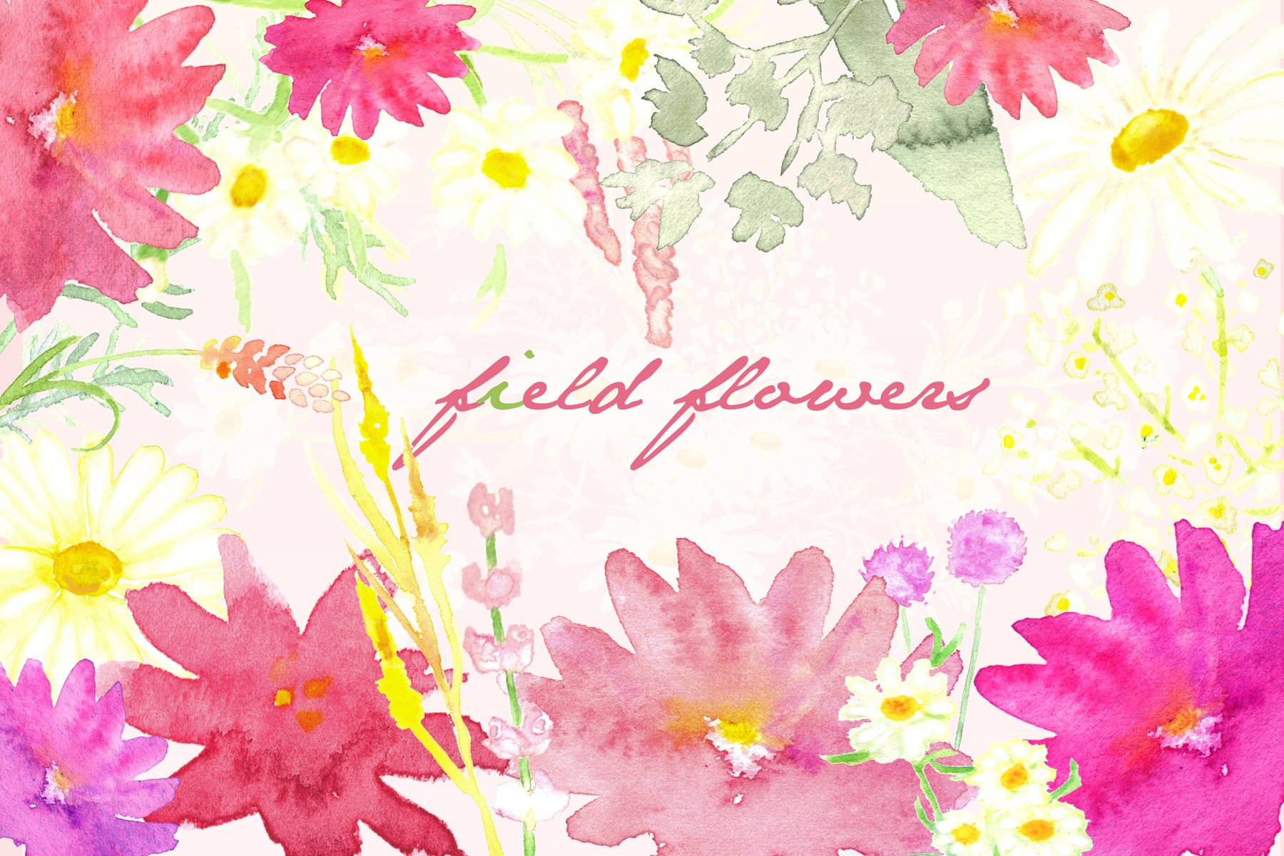 多种手绘水彩花卉剪贴画图片设计素材 Field Flowers Watercolor Clip Art_img_2