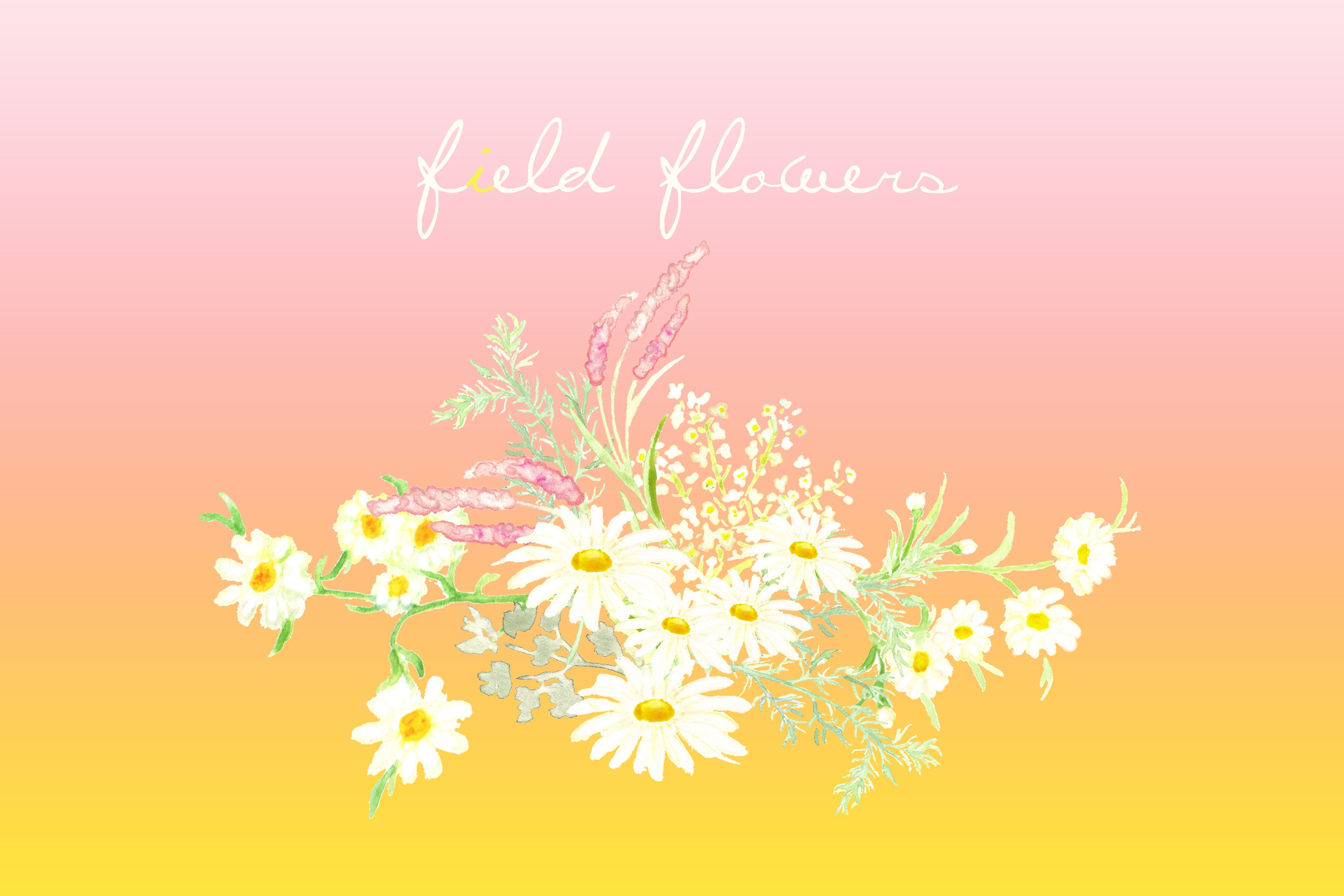 多种手绘水彩花卉剪贴画图片设计素材 Field Flowers Watercolor Clip Art_img_2