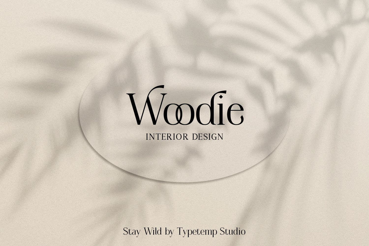 现代奢华杂志品牌徽标logo设计衬线英文字体 Stay Wild Serif Display_img_2
