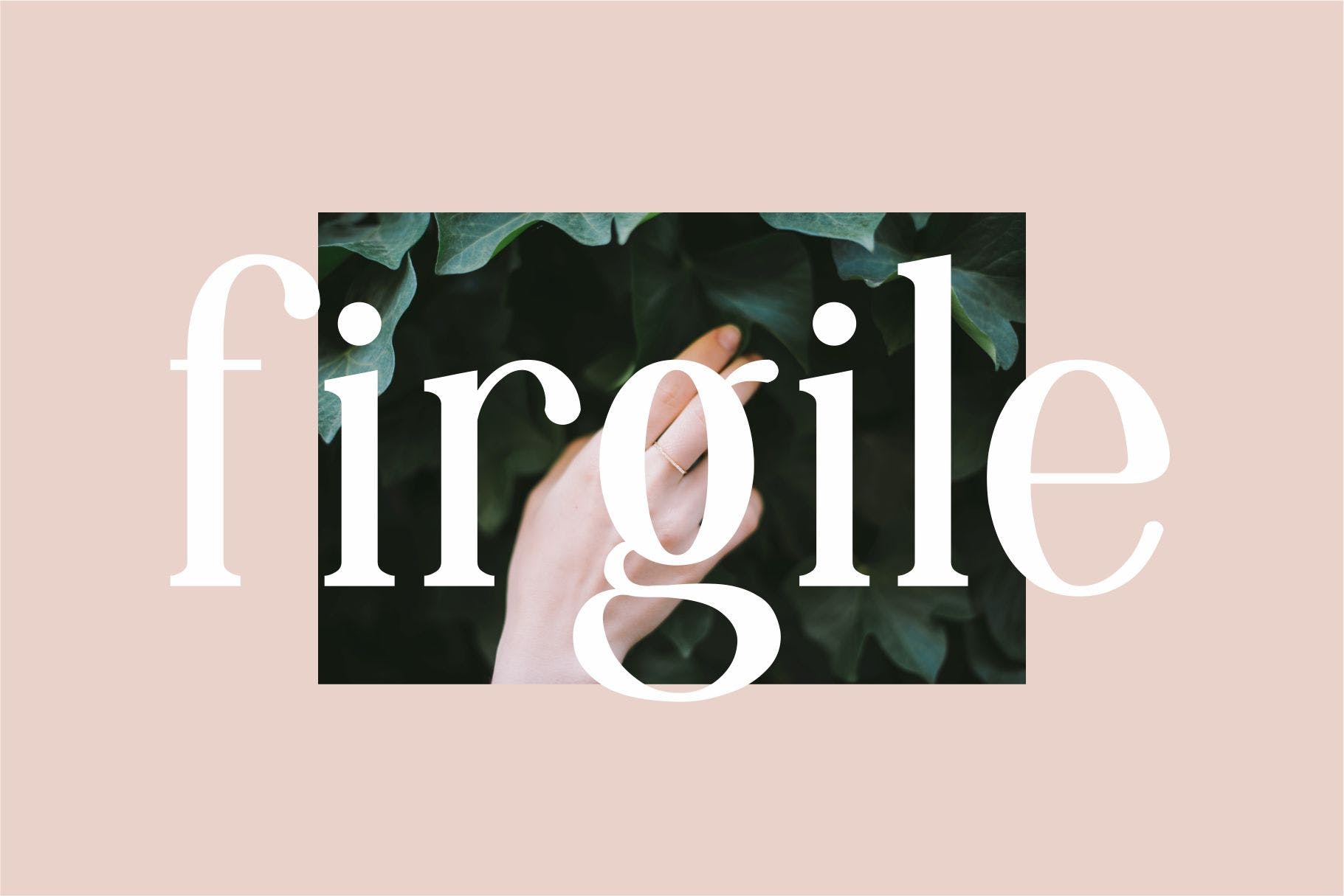 优雅怀旧杂志社交媒体徽标logo设计衬线英文字体 Marcello Serif Font_img_2