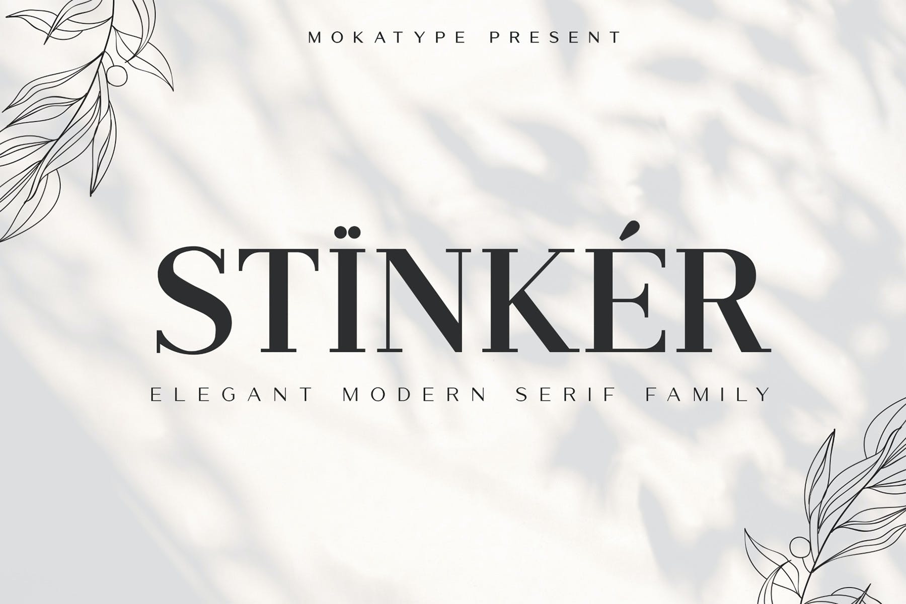 优雅简约品牌包装徽标设计衬线英文字体 Stinker - Elegant Serif Family_img_2