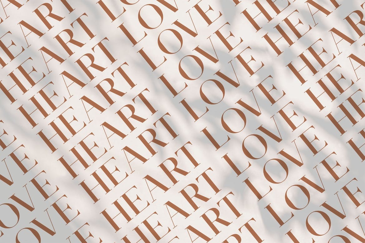 优雅简约品牌包装徽标设计衬线英文字体 Stinker - Elegant Serif Family_img_2