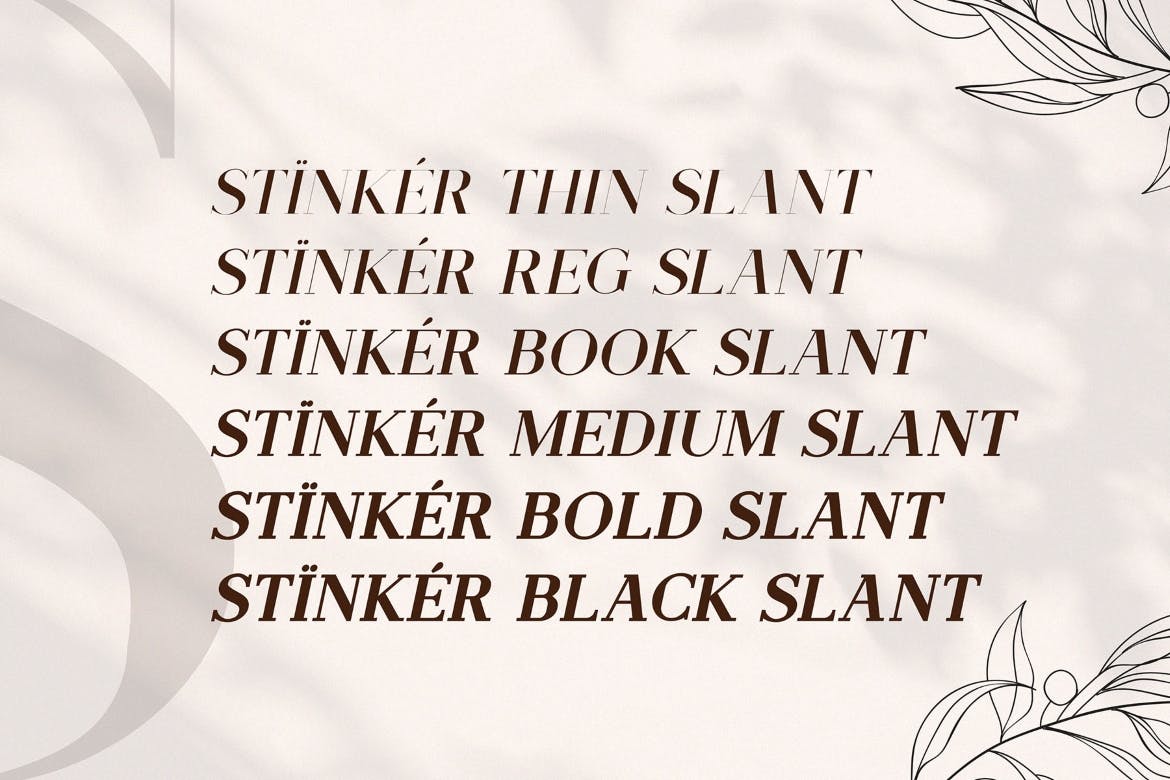 优雅简约品牌包装徽标设计衬线英文字体 Stinker - Elegant Serif Family_img_2