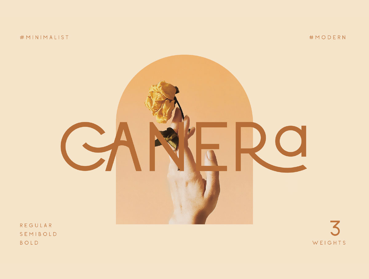 现代优雅杂志标题徽标Logo无衬线英文字体下载 Canera - Simple Elegant Typeface_img_2