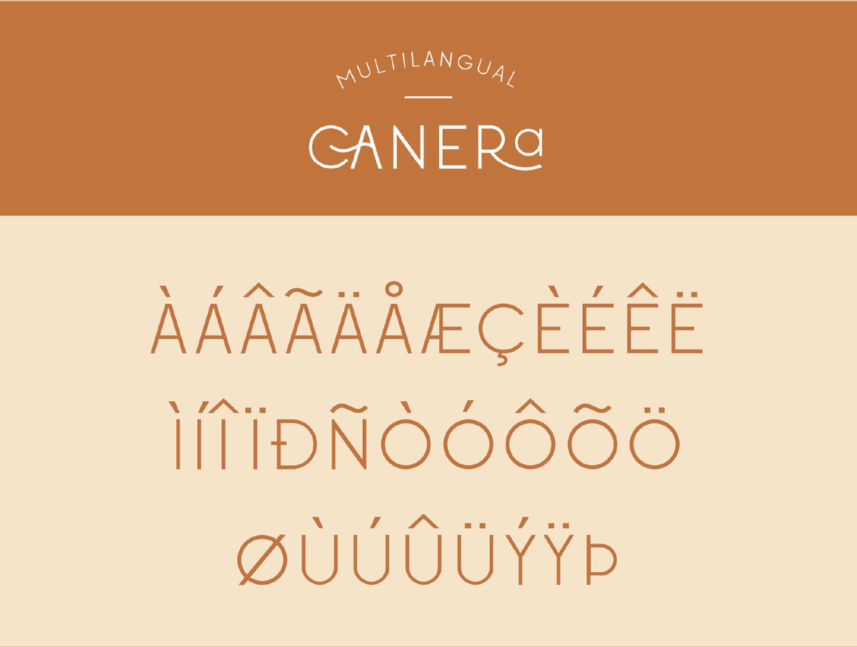 现代优雅杂志标题徽标Logo无衬线英文字体下载 Canera - Simple Elegant Typeface_img_2