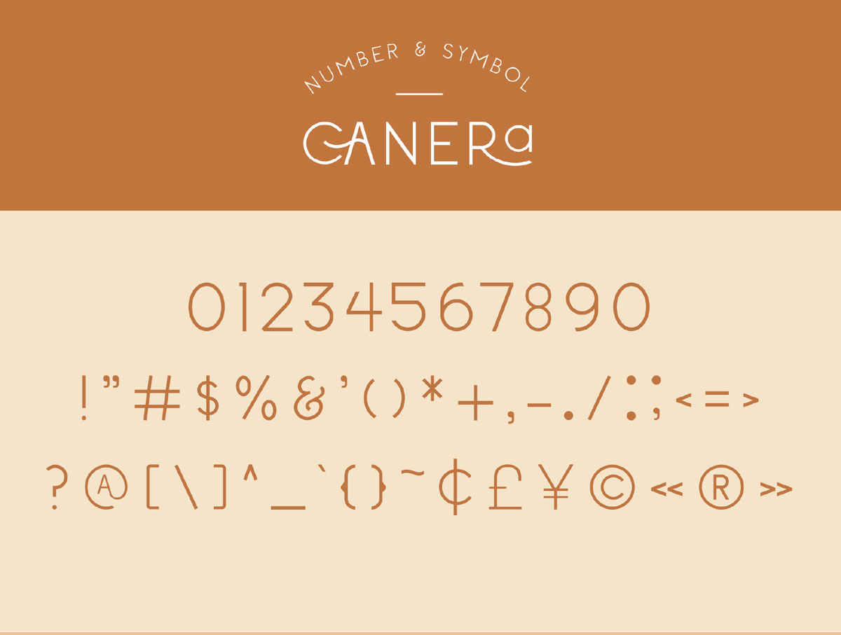 现代优雅杂志标题徽标Logo无衬线英文字体下载 Canera - Simple Elegant Typeface_img_2