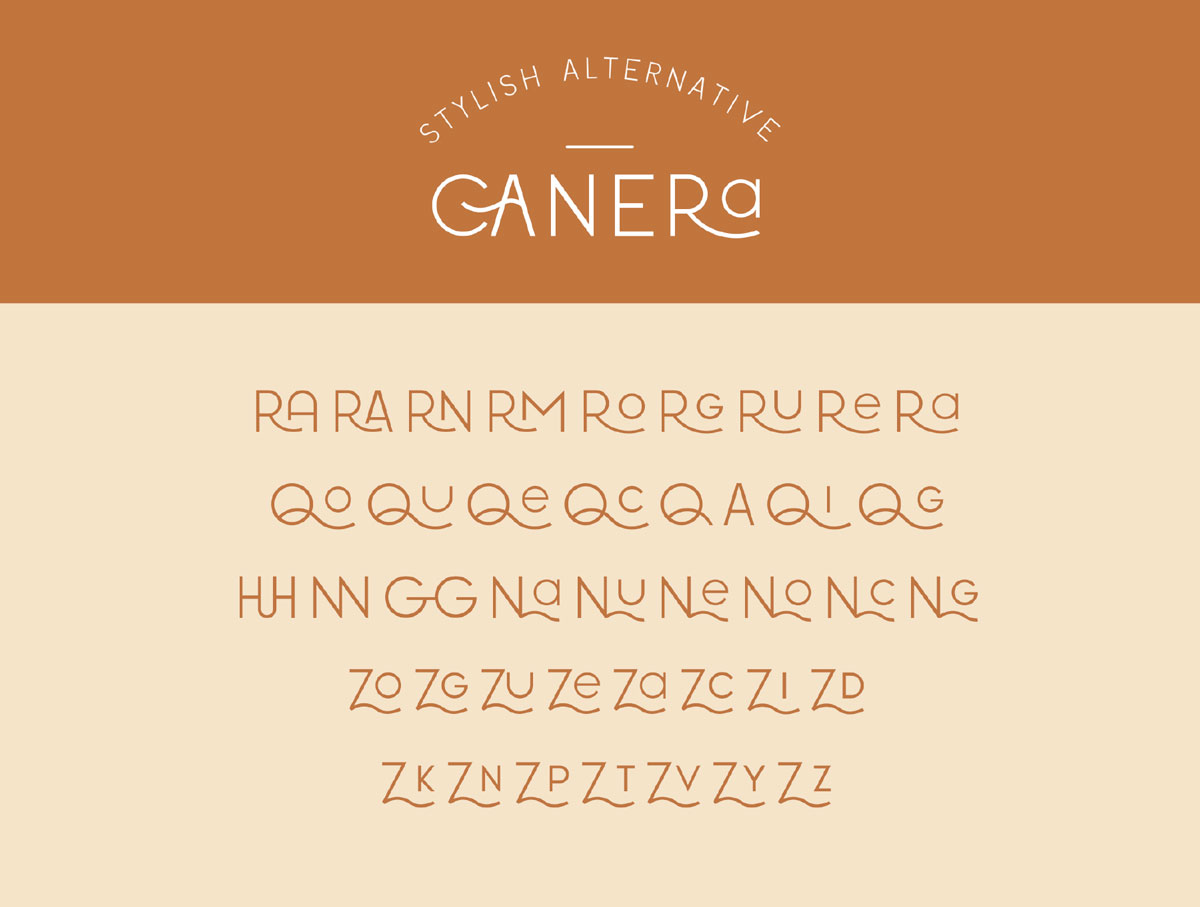 现代优雅杂志标题徽标Logo无衬线英文字体下载 Canera - Simple Elegant Typeface_img_2