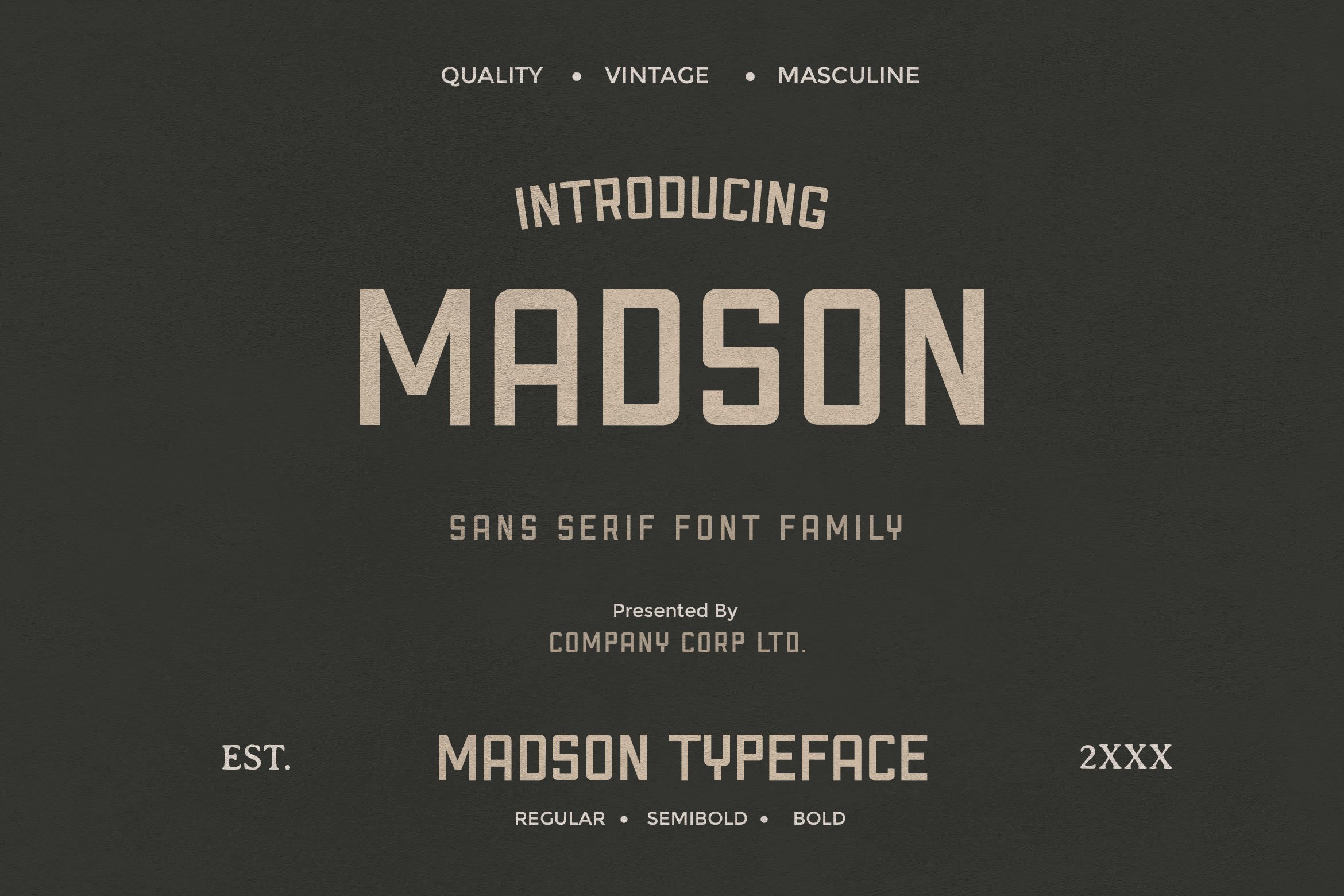 现代时尚杂志海报标题徽标Logo设计无衬线英文字体素材 Madson - Masculine Modern Typeface_img_2