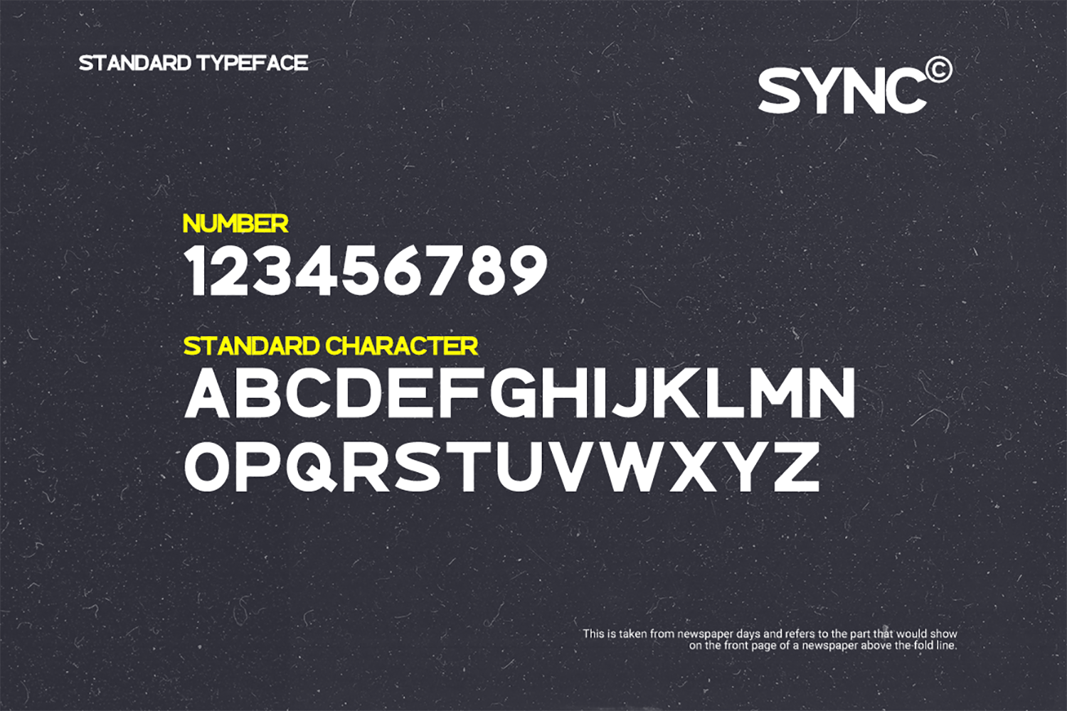 优雅简约品牌标题广告设计无衬线英文字体 SYNC - Modern Sans Serif Font_img_2