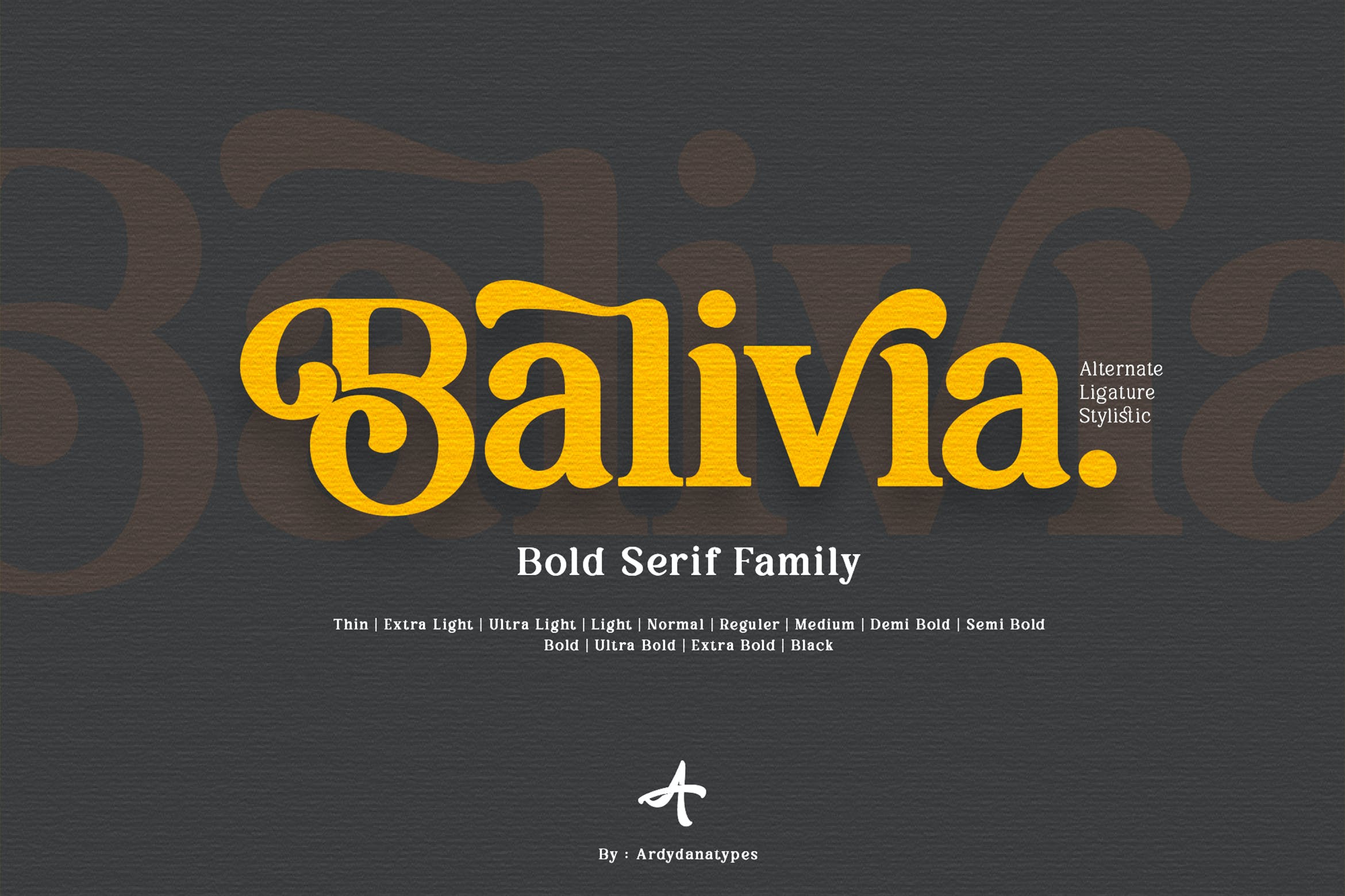 现代优雅海报品牌名片设计衬线英文字体 Balivia_img_2