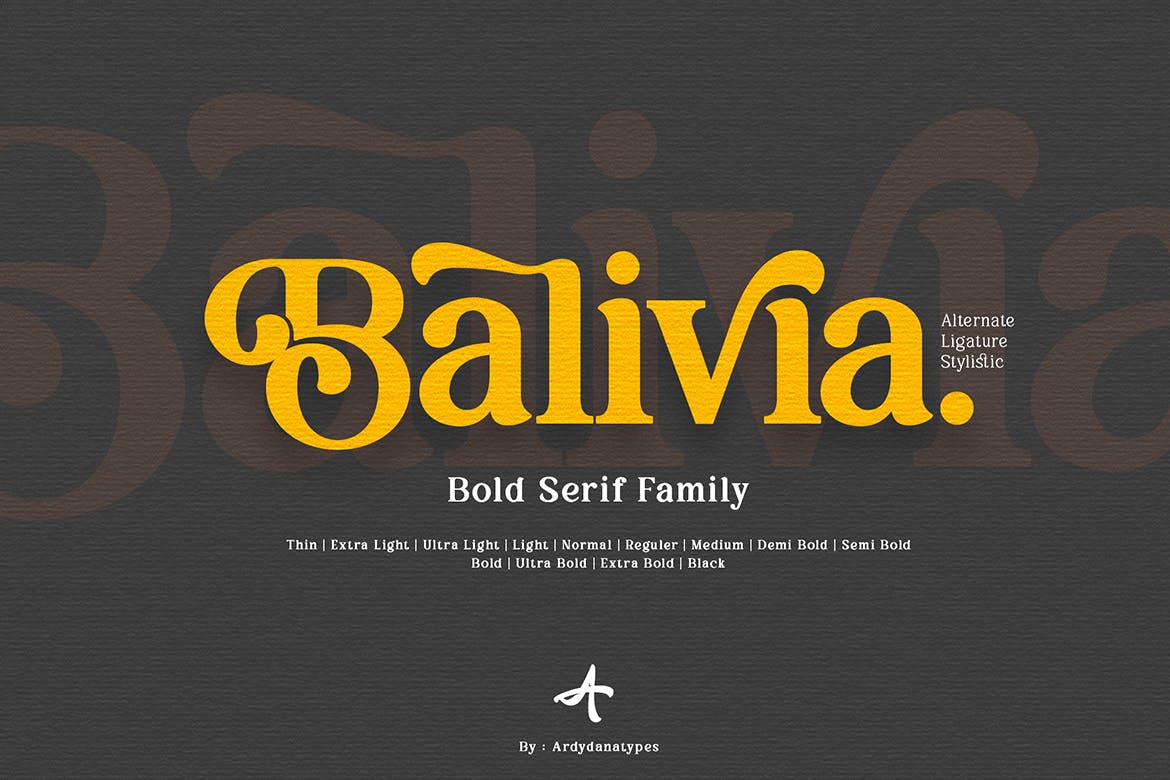 现代优雅海报品牌名片设计衬线英文字体 Balivia_img_2
