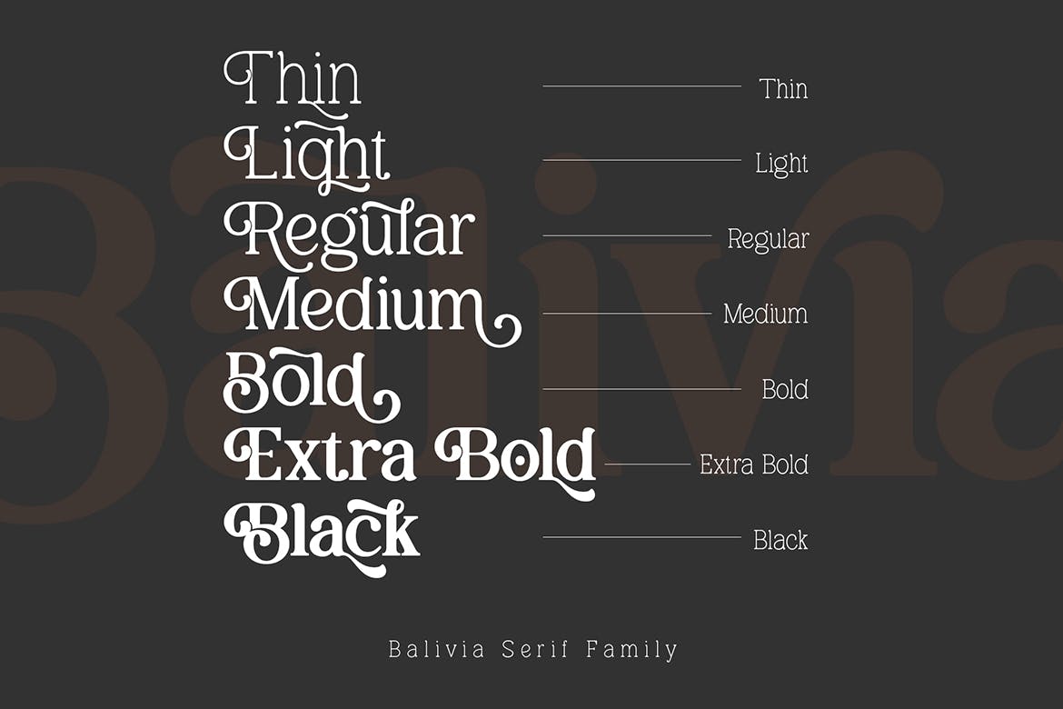 现代优雅海报品牌名片设计衬线英文字体 Balivia_img_2