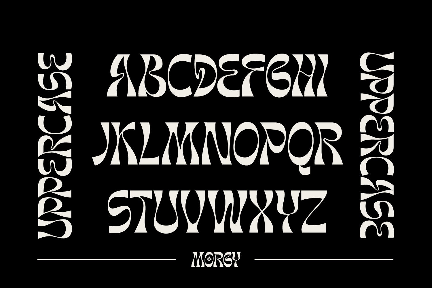 复古逆反差海报品牌徽标logo设计无衬线英文字体 Morgy Font_img_2