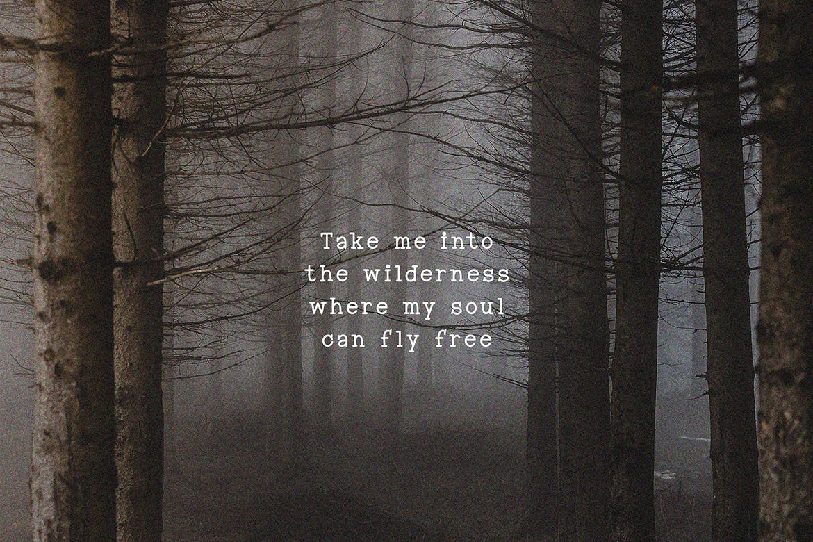 复古品牌商标徽标logo设计衬线英文字体素材 Into the Wild Font_img_2