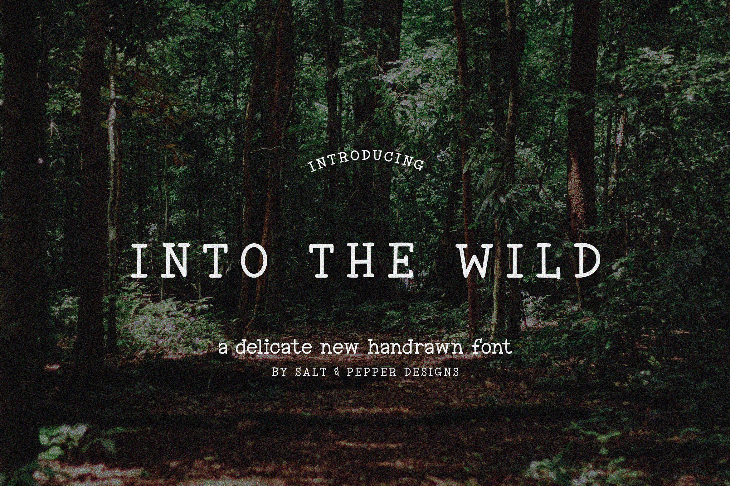 复古品牌商标徽标logo设计衬线英文字体素材 Into the Wild Font_img_2