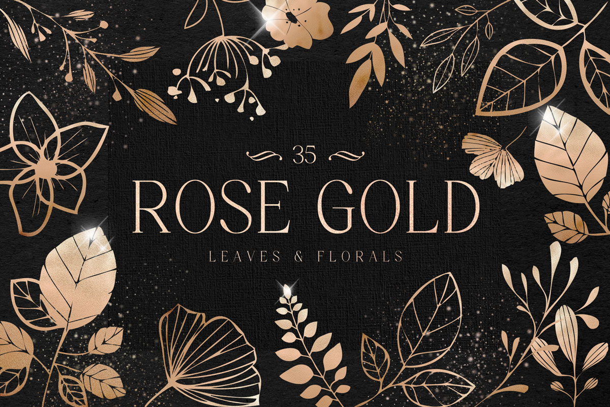 35款玫瑰金质感手绘树叶花朵剪贴画装饰素材 Rose Gold Leaves Florals Foil Elements_img_2