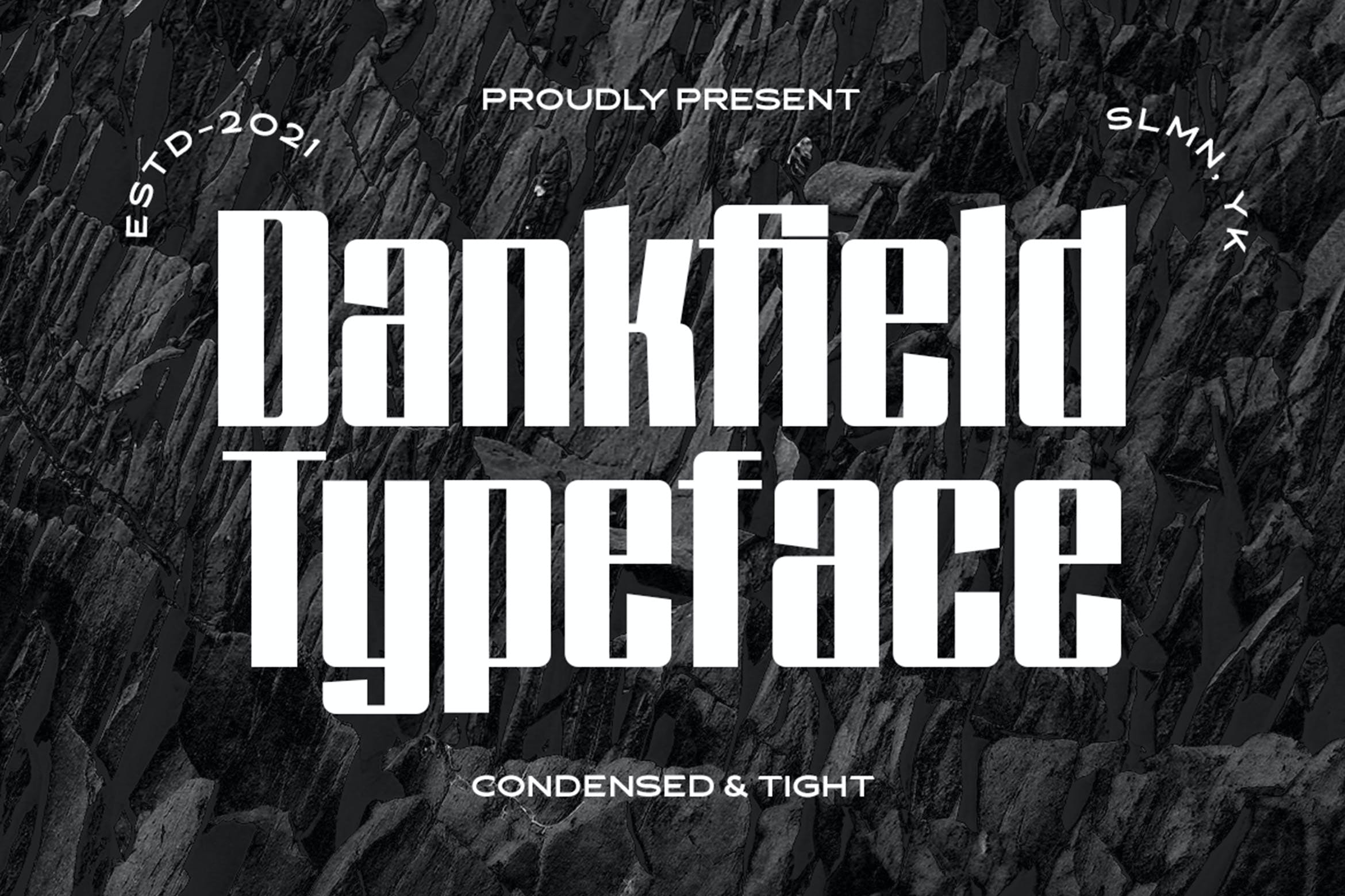 现代简约杂志时装徽标logo设计无衬线英文字体素材 Dankfield - Modern Condensed Font_img_2