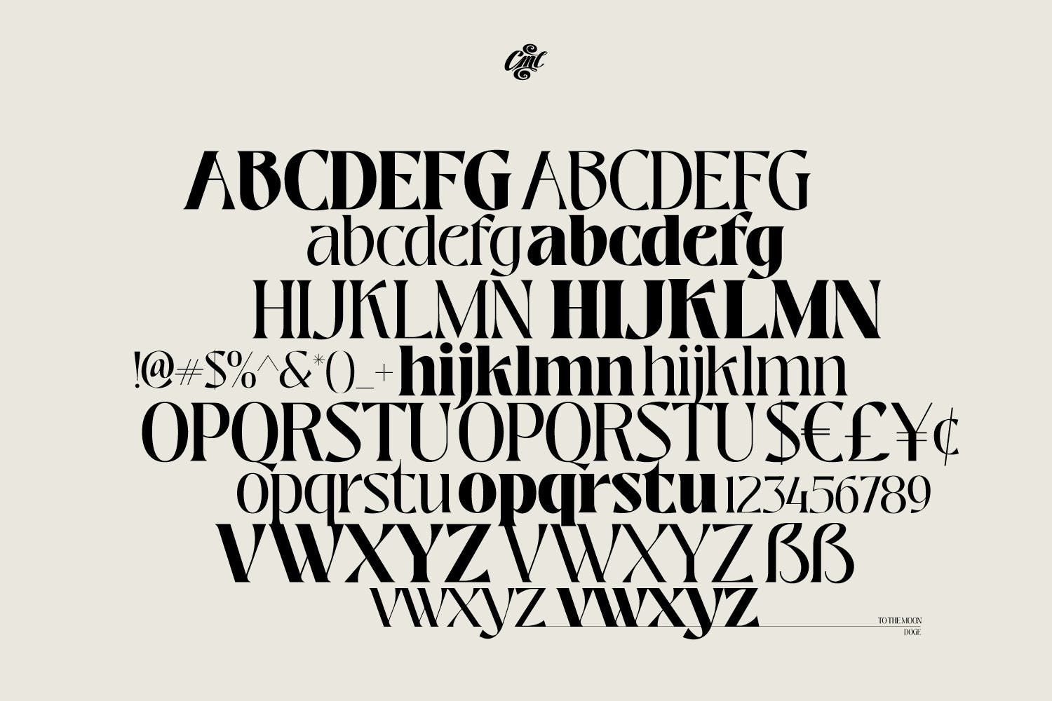 复古优雅品牌标题徽标logo设计衬线英文字体素材 Pretty Boy  Decorative serif family_img_2