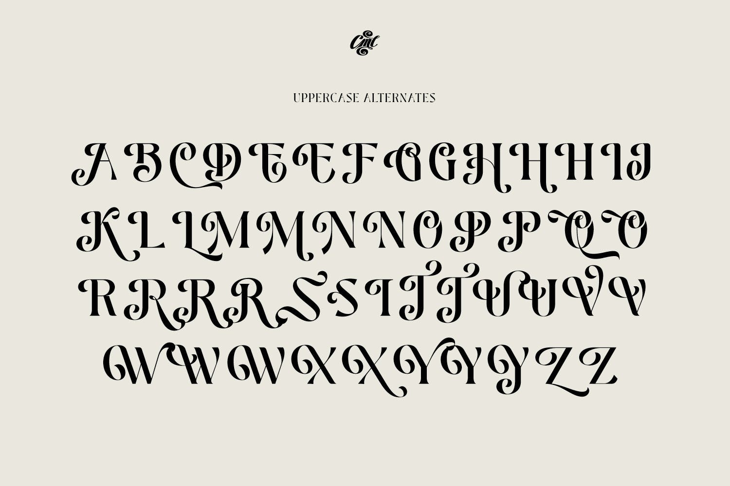 复古优雅品牌标题徽标logo设计衬线英文字体素材 Pretty Boy  Decorative serif family_img_2