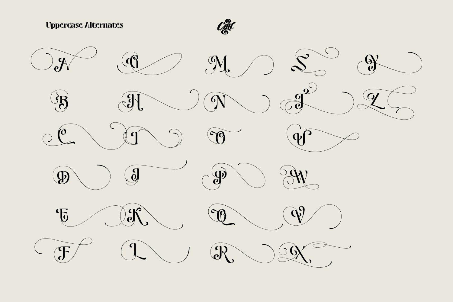 复古优雅品牌标题徽标logo设计衬线英文字体素材 Pretty Boy  Decorative serif family_img_2