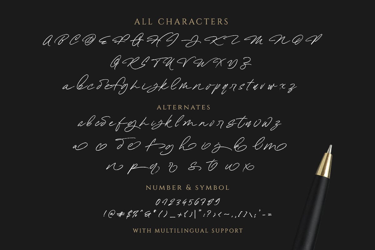 时尚杂志标签徽标logo设计手写英文字体素材 Hollowsky - Signature Script_img_2