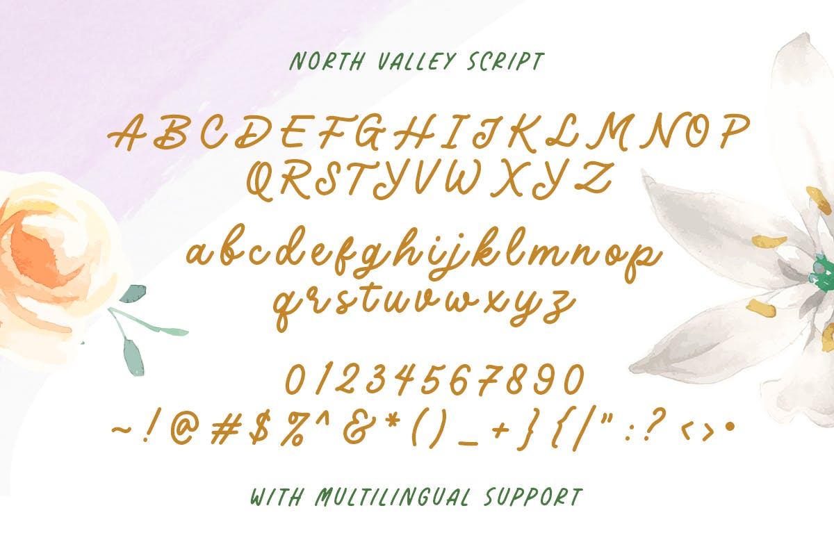 可爱卡通杂志标签徽标logo设计手写显示字体素材 North Valley - Cute Sans and Script_img_2