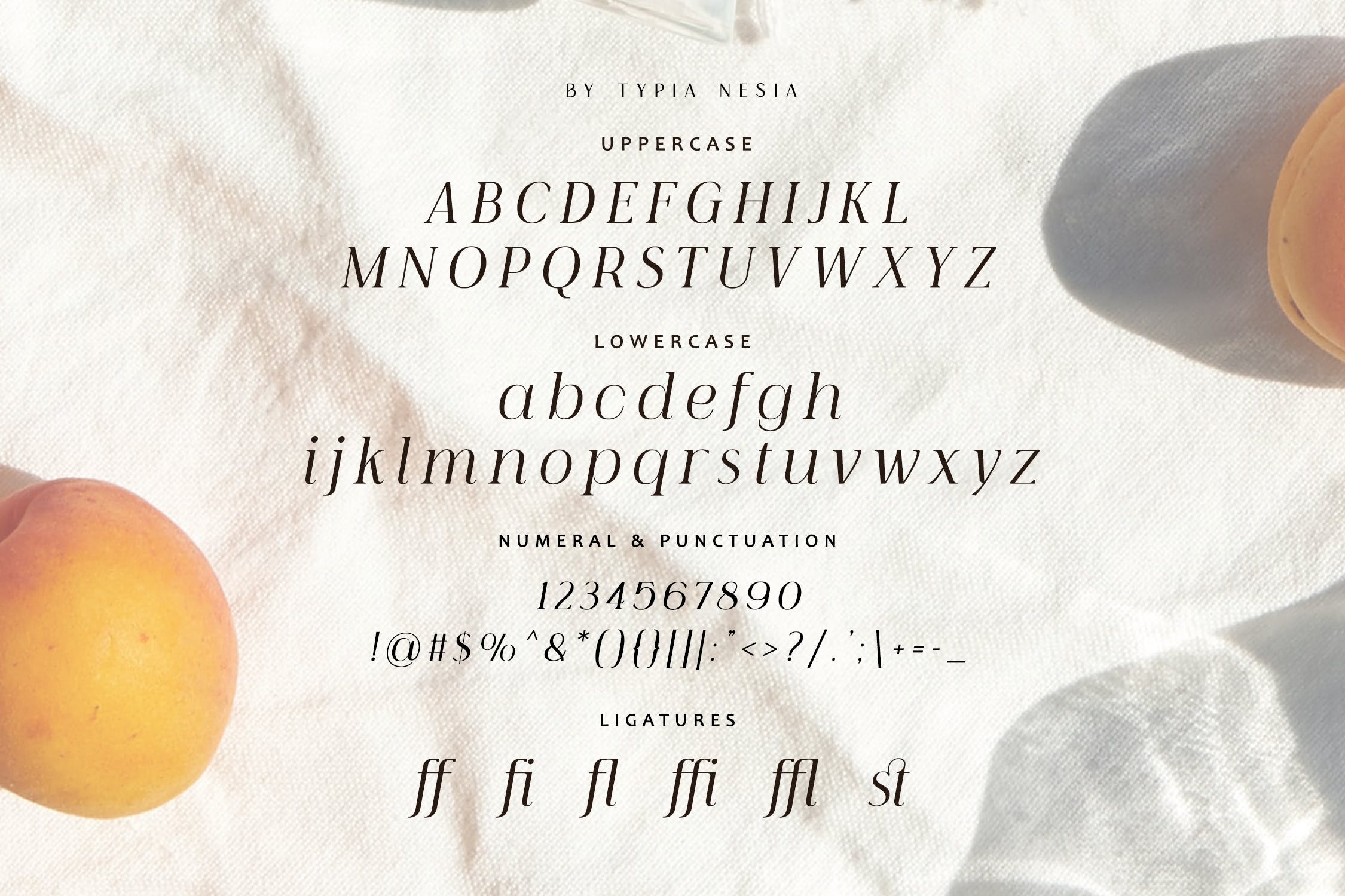 优雅奢华杂志品牌徽标logo设计衬线英文字体素材 Shigatsu - Elegant Beauty Italic Serif Font_img_2