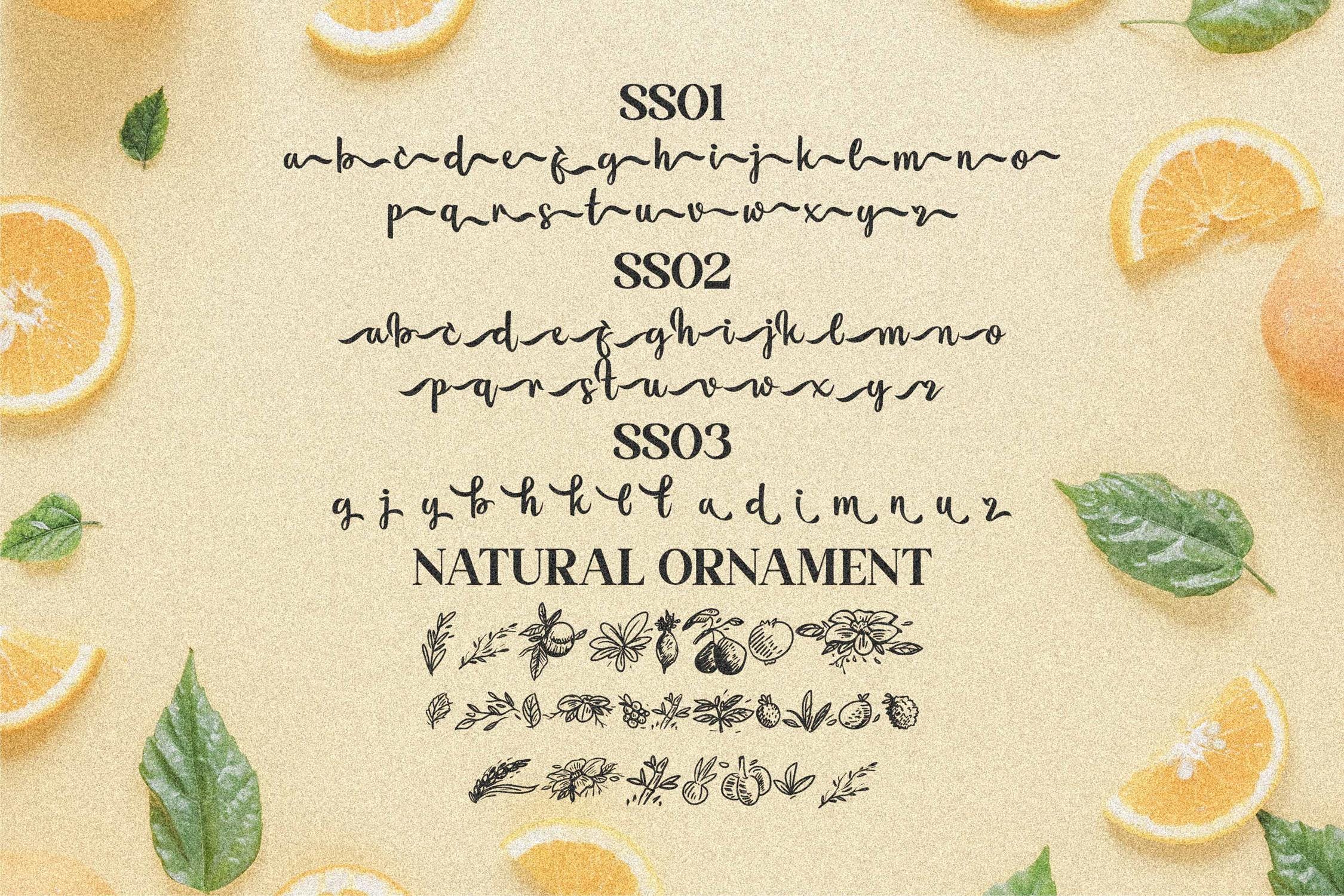 优雅海报社交媒体品牌设计衬线英文字体素材 Flourissha Script LS_img_2
