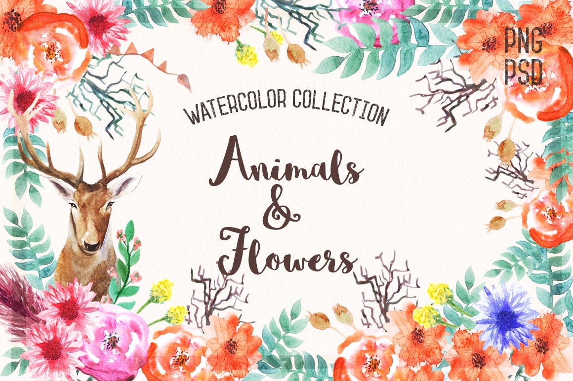 42个动物花卉手绘水彩画PNG免扣图片素材 Watercolor Animals & Flowers_img_2