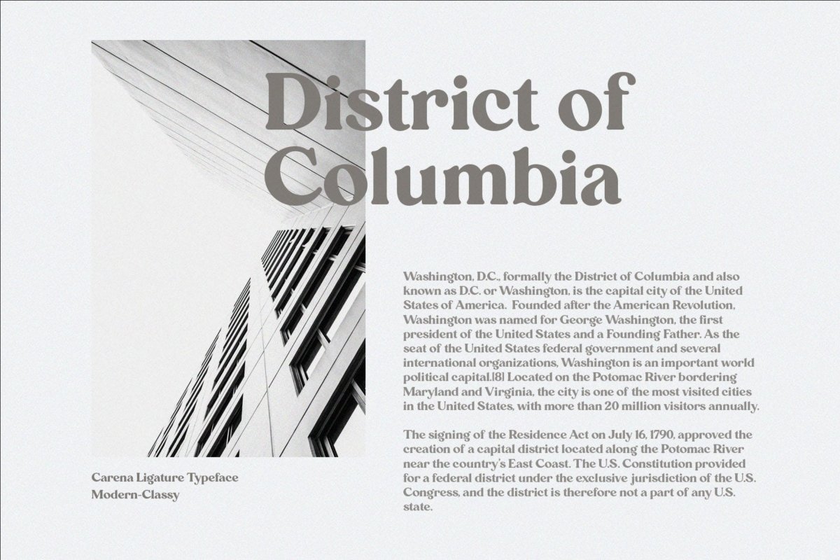 现代时尚杂志海报徽标logo设计衬线英文字体素材 Carena - Ligature Serif Font_img_2